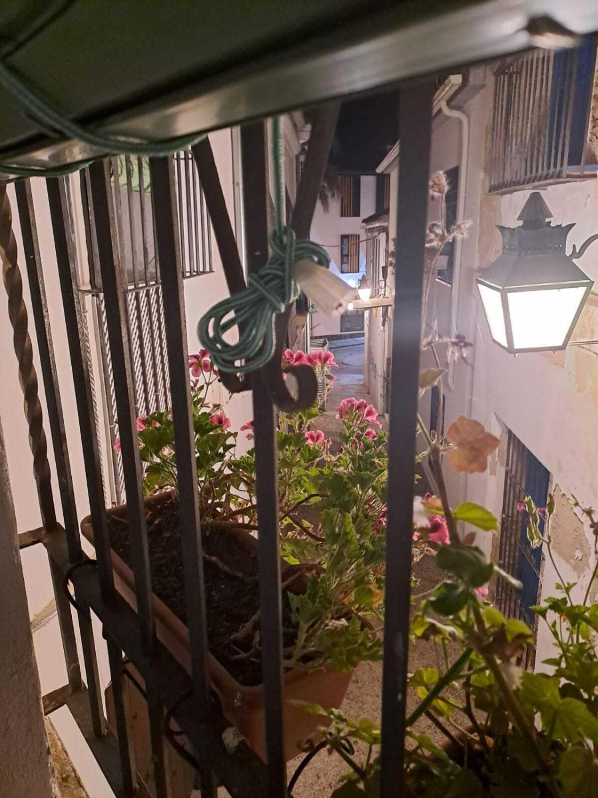 Calleja La Pimentera コルドバ エクステリア 写真